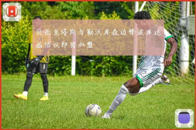 贝西克塔斯与勒沃库森边锋波库达成协议即将加盟