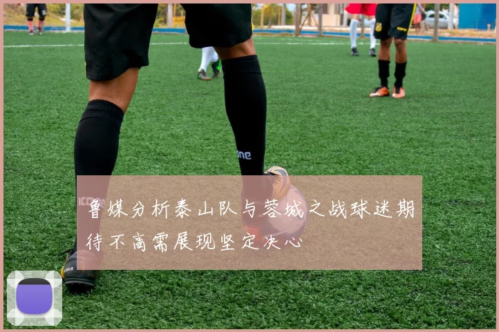 鲁媒分析泰山队与蓉城之战球迷期待不高需展现坚定决心